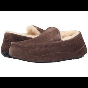 NIB Men's UGG Ascot Suede Slipper ESPRESSO Size 10